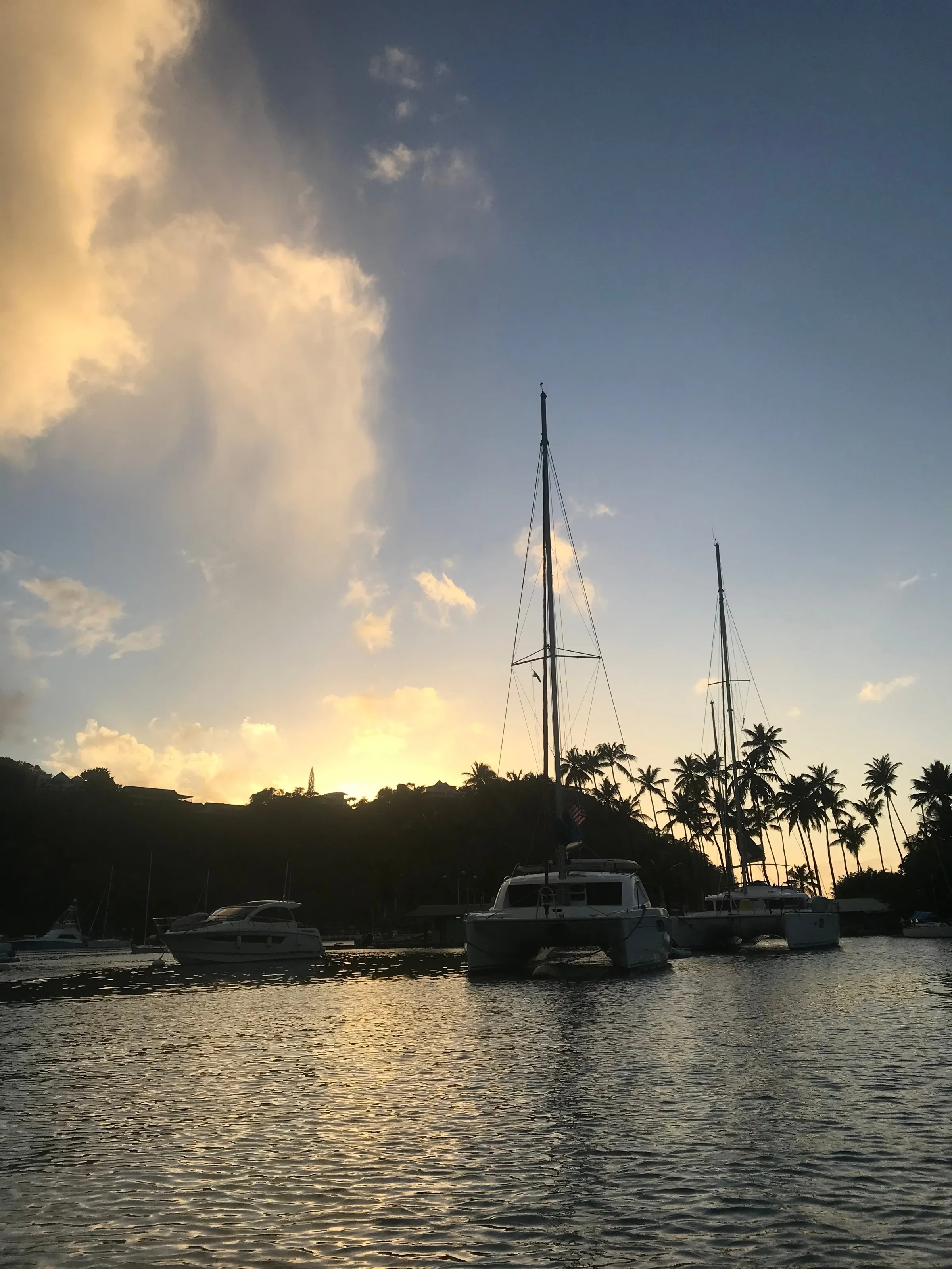 Two catamarans silhouetted at sunset in Marigot Harbour, Saint Lucia, in front of a line of coconut palms.