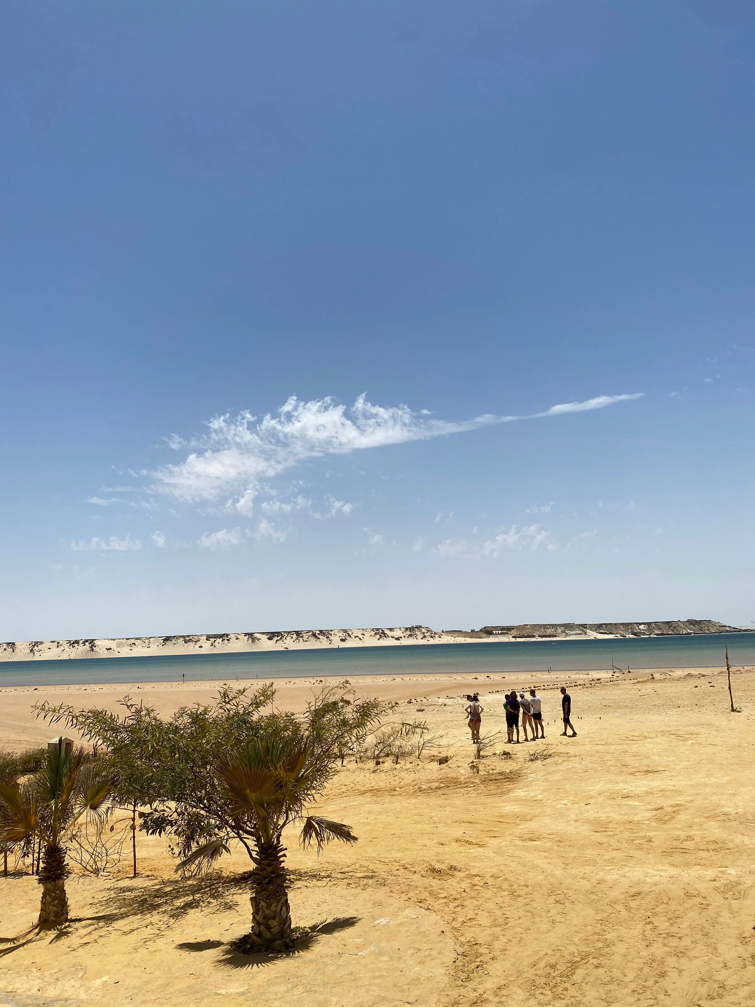 Two palm trees and a small group of people seen from behind on the sand, with Dakhla lagoon and its pale opposite shore beyond.