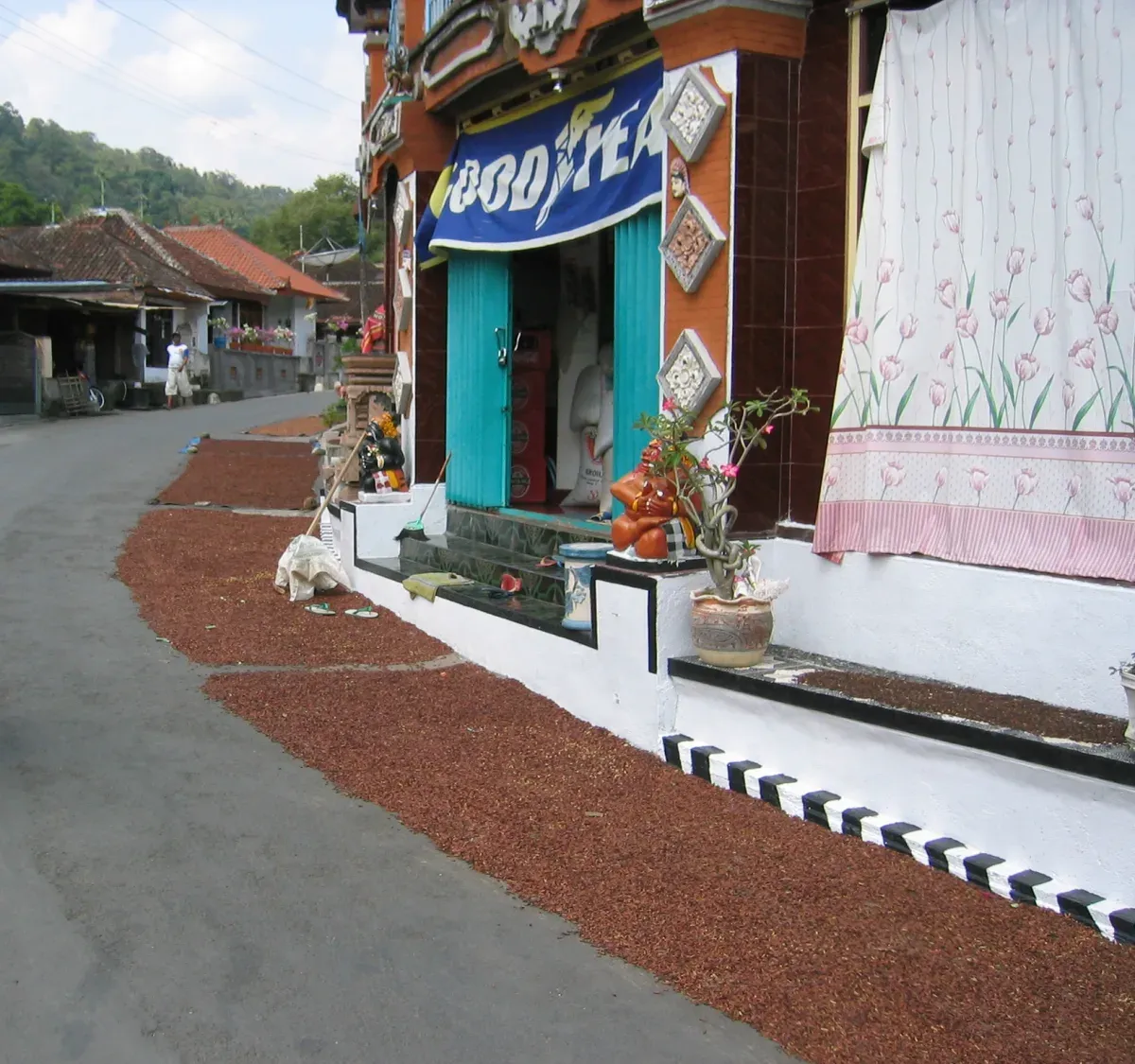 Cloves spread out to dry in the sun in the Munduk region of Bali.