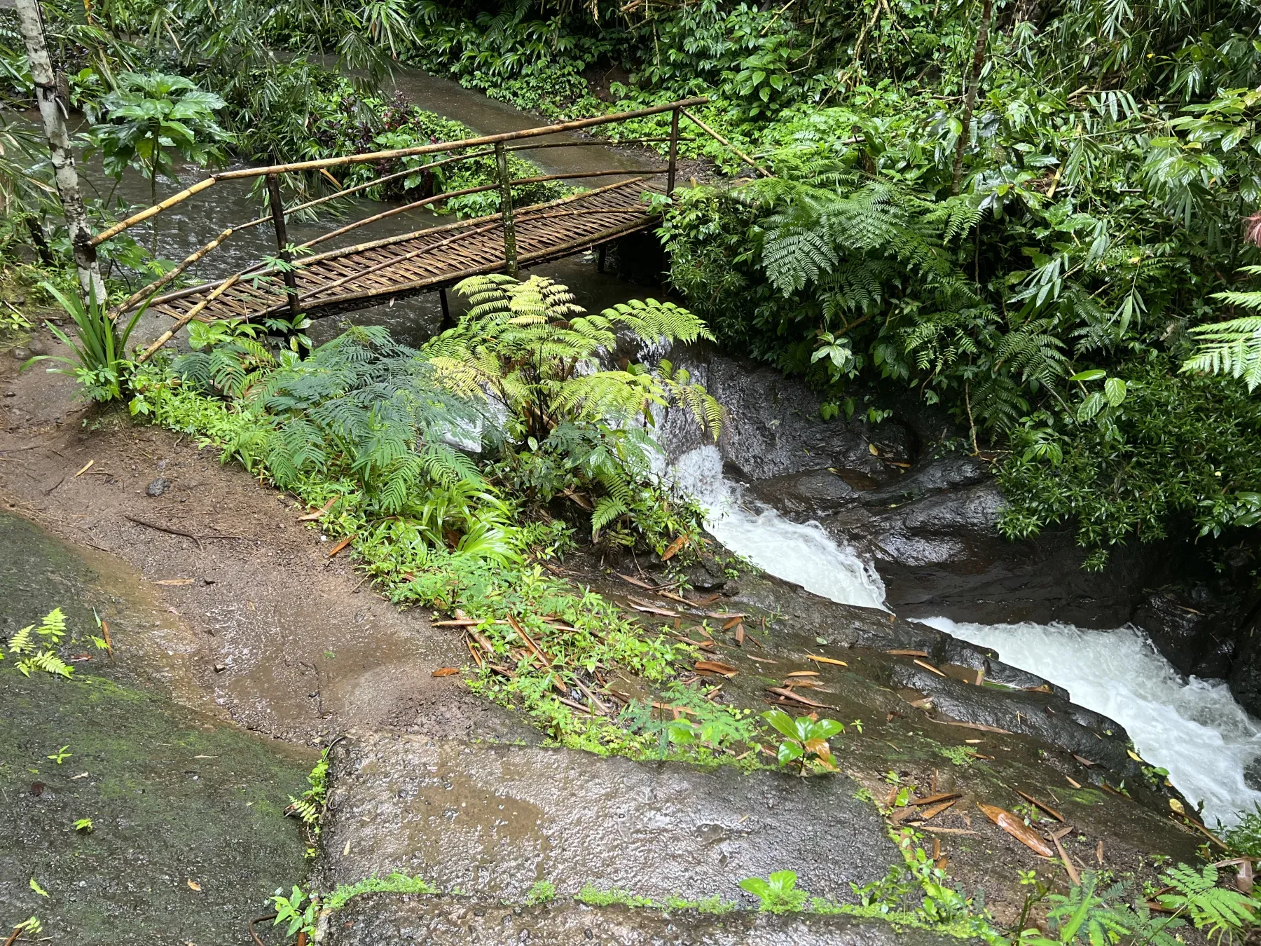 A walking trail towards Munduk’s waterfalls.