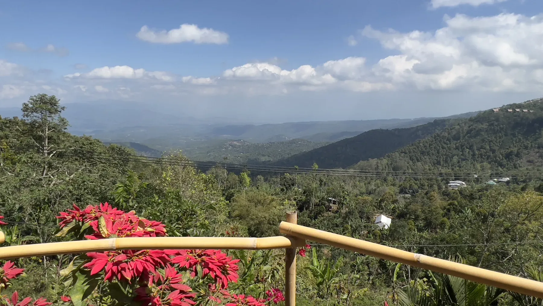 View from Gedong Agro, another coffee farm in Munduk.
